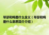 琴瑟和鸣是什么含义（琴瑟和鸣是什么意思简介介绍）