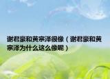谢君豪和黄宗泽很像（谢君豪和黄宗泽为什么这么像呢）