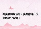 关关雎鸠啥意思（关关雎鸠什么意思简介介绍）
