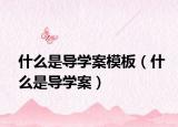 什么是导学案模板（什么是导学案）