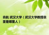 袁航 武汉大学（武汉大学教授袁荃是哪里人）