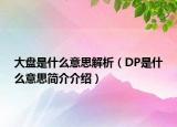 大盘是什么意思解析（DP是什么意思简介介绍）