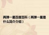 两弹一星百度百科（两弹一星是什么简介介绍）