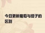 今日更新葡萄与提子的区别