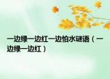 一边绿一边红一边怕水谜语（一边绿一边红）