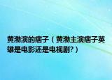 黄渤演的痞子（黄渤主演痞子英雄是电影还是电视剧?）