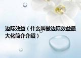 边际效益（什么叫做边际效益最大化简介介绍）