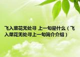 飞入菜花无处寻 上一句是什么（飞入菜花无处寻上一句简介介绍）