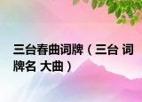 三台春曲词牌（三台 词牌名 大曲）