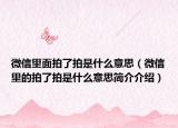 微信里面拍了拍是什么意思（微信里的拍了拍是什么意思简介介绍）