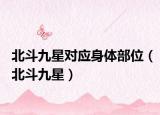 北斗九星对应身体部位（北斗九星）