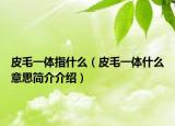 皮毛一体指什么（皮毛一体什么意思简介介绍）