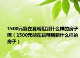 1500元能在昆明租到什么样的房子呢（1500元能在昆明租到什么样的房子）