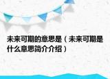 未来可期的意思是（未来可期是什么意思简介介绍）