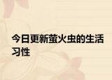 今日更新萤火虫的生活习性