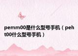 pemm00是什么型号手机（peht00什么型号手机）