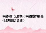 甲醛和什么有关（甲醛的作用 是什么呢简介介绍）