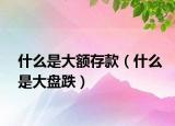 什么是大额存款（什么是大盘跌）