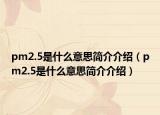 pm2.5是什么意思简介介绍（pm2.5是什么意思简介介绍）