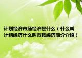 计划经济市场经济是什么（什么叫计划经济什么叫市场经济简介介绍）