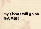 my（heart will go on什么乐器）