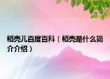 稻壳儿百度百科（稻壳是什么简介介绍）