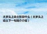 太岁头上动土形容什么（太岁头上动土下一句简介介绍）