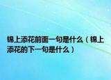 锦上添花前面一句是什么（锦上添花的下一句是什么）