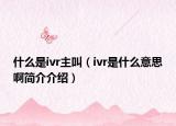 什么是ivr主叫（ivr是什么意思啊简介介绍）