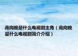 南向晚是什么电视剧主角（南向晚是什么电视剧简介介绍）