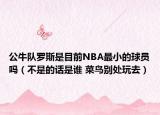 公牛队罗斯是目前NBA最小的球员吗（不是的话是谁 菜鸟别处玩去）