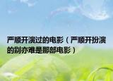 严顺开演过的电影（严顺开扮演的别亦难是那部电影）