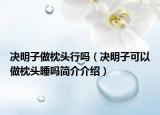 决明子做枕头行吗（决明子可以做枕头睡吗简介介绍）