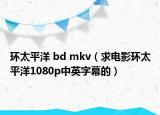 环太平洋 bd mkv（求电影环太平洋1080p中英字幕的）