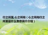 行之所至,心之所向（心之所向行之所至是什么意思简介介绍）