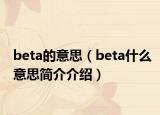 beta的意思（beta什么意思简介介绍）