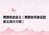 黄颜色的含义（黄颜色所象征的意义简介介绍）