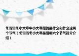 冬雪雪冬小大寒中小大寒指的是什么和什么这两个节气（冬雪雪冬小大寒是指哪六个节气简介介绍）