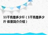 11千克是多少斤（1千克是多少斤 体重简介介绍）