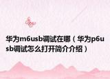 华为m6usb调试在哪（华为p6usb调试怎么打开简介介绍）