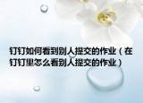 钉钉如何看到别人提交的作业（在钉钉里怎么看别人提交的作业）