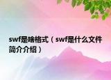 swf是啥格式（swf是什么文件简介介绍）