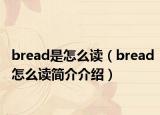 bread是怎么读（bread怎么读简介介绍）