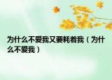 为什么不爱我又要耗着我（为什么不爱我）