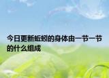 今日更新蚯蚓的身体由一节一节的什么组成
