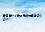绩效审计（什么是绩效审计简介介绍）