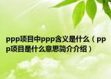 ppp项目中ppp含义是什么（ppp项目是什么意思简介介绍）