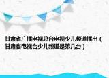 甘肃省广播电视总台电视少儿频道播出（甘肃省电视台少儿频道是第几台）