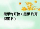 黑手许开祯（黑手 许开祯图书）