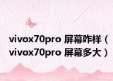 vivox70pro 屏幕咋样（vivox70pro 屏幕多大）